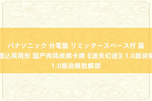 パナソニック 分電盤 リミッタースペース付 露出・半埋込両用形 国产肉鸽战棋卡牌《迷失幻途》1.0版块精致解禁