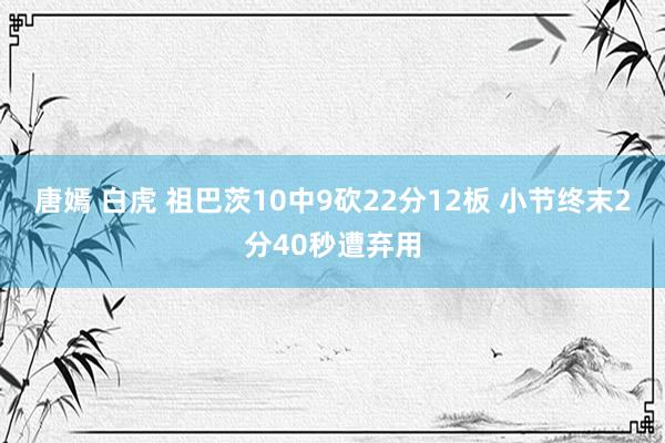 唐嫣 白虎 祖巴茨10中9砍22分12板 小节终末2分40秒遭弃用