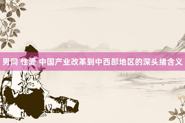 男同 性愛 中国产业改革到中西部地区的深头绪含义
