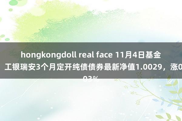 hongkongdoll real face 11月4日基金净值：工银瑞安3个月定开纯债债券最新净值1.0029，涨0.03%