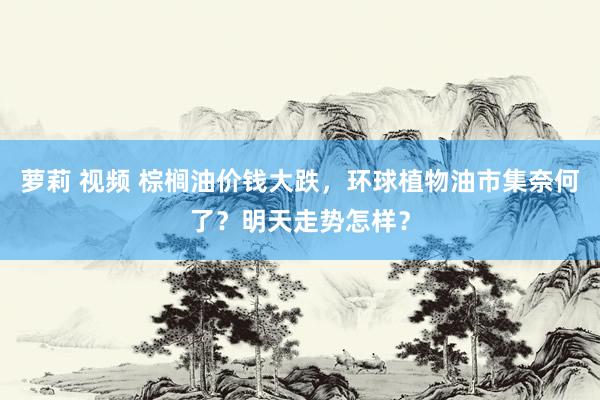 萝莉 视频 棕榈油价钱大跌，环球植物油市集奈何了？明天走势怎样？