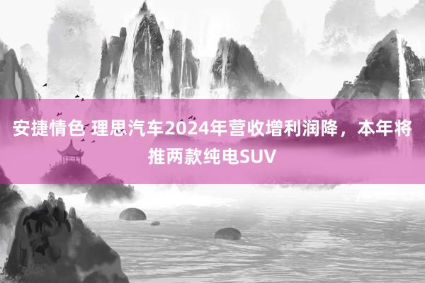 安捷情色 理思汽车2024年营收增利润降，本年将推两款纯电SUV
