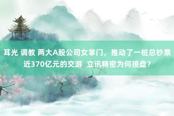 耳光 调教 两大A股公司女掌门，推动了一桩总钞票近370亿元的交游  立讯精密为何接盘？
