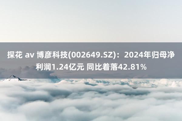 探花 av 博彦科技(002649.SZ)：2024年归母净