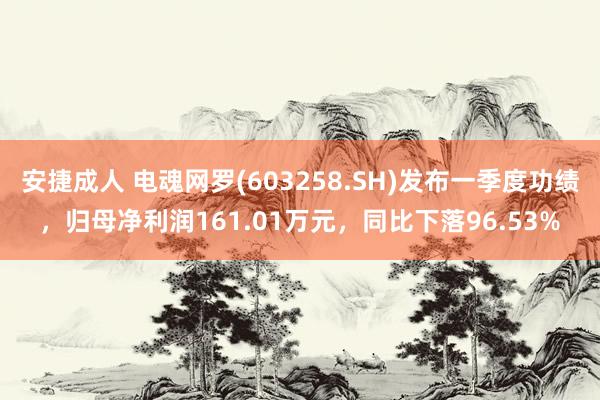 安捷成人 电魂网罗(603258.SH)发布一季度功绩，归母